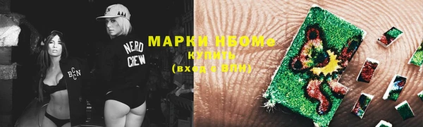 трава Бородино
