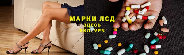трава Бородино