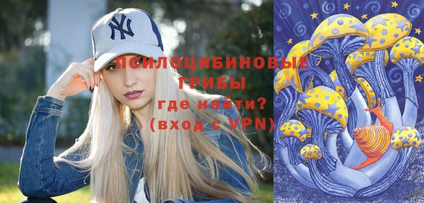 ПСИЛОЦИБИНОВЫЕ ГРИБЫ Бугульма