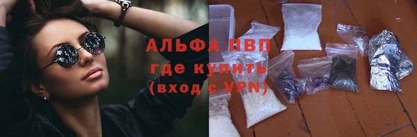 трава Бородино