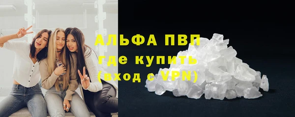 трава Бородино