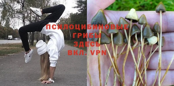 ПСИЛОЦИБИНОВЫЕ ГРИБЫ Бугульма
