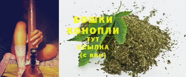ПСИЛОЦИБИНОВЫЕ ГРИБЫ Бугульма