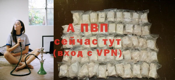 трава Бородино